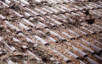 Shipbourne roof cleaning companies